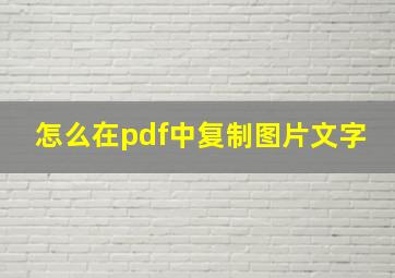 怎么在pdf中复制图片文字