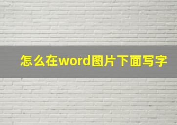 怎么在word图片下面写字