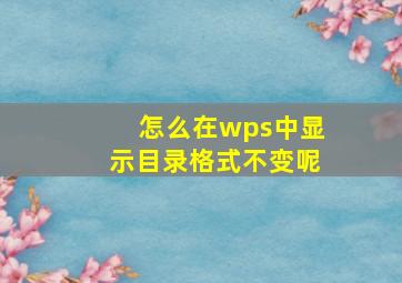 怎么在wps中显示目录格式不变呢