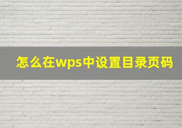 怎么在wps中设置目录页码