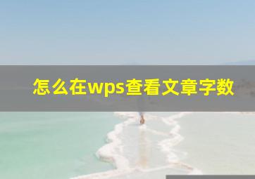 怎么在wps查看文章字数