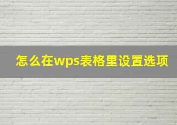 怎么在wps表格里设置选项