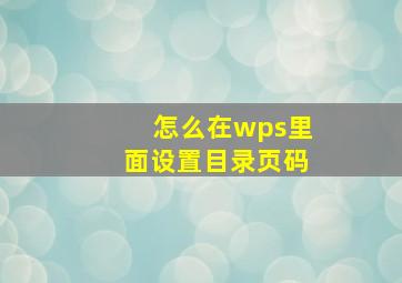 怎么在wps里面设置目录页码