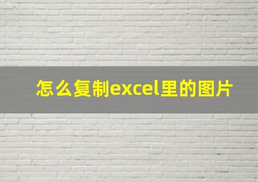 怎么复制excel里的图片