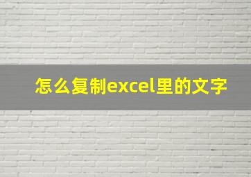 怎么复制excel里的文字