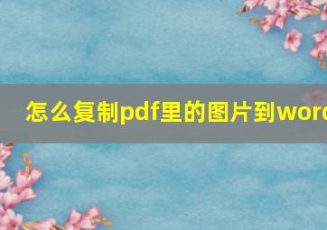 怎么复制pdf里的图片到word