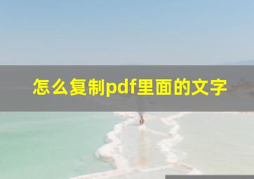 怎么复制pdf里面的文字