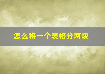 怎么将一个表格分两块