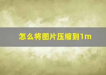 怎么将图片压缩到1m