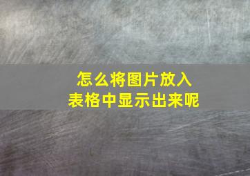 怎么将图片放入表格中显示出来呢