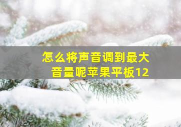 怎么将声音调到最大音量呢苹果平板12