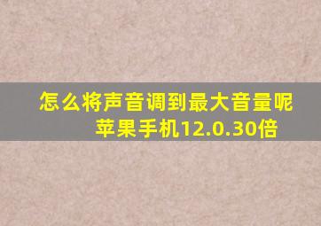 怎么将声音调到最大音量呢苹果手机12.0.30倍