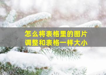 怎么将表格里的图片调整和表格一样大小