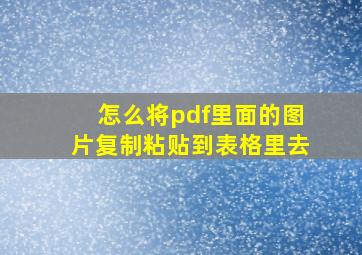 怎么将pdf里面的图片复制粘贴到表格里去