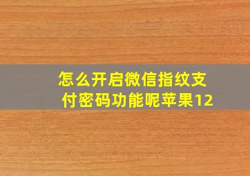 怎么开启微信指纹支付密码功能呢苹果12