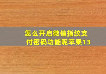 怎么开启微信指纹支付密码功能呢苹果13