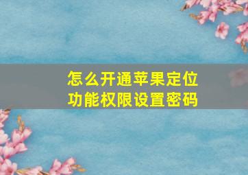 怎么开通苹果定位功能权限设置密码