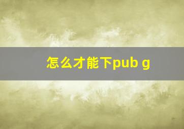 怎么才能下pub g