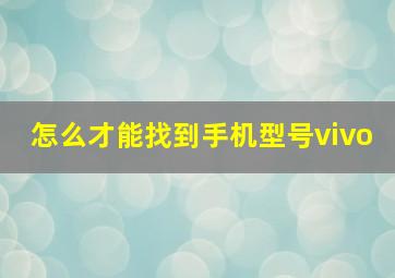 怎么才能找到手机型号vivo