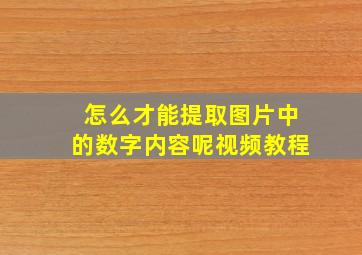 怎么才能提取图片中的数字内容呢视频教程