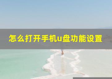 怎么打开手机u盘功能设置