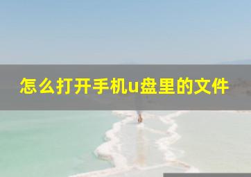 怎么打开手机u盘里的文件