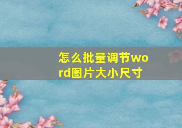 怎么批量调节word图片大小尺寸