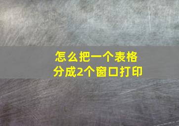 怎么把一个表格分成2个窗口打印