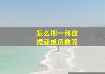 怎么把一列数据变成负数呢