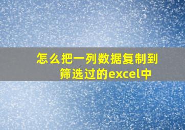 怎么把一列数据复制到筛选过的excel中