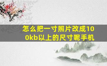 怎么把一寸照片改成100kb以上的尺寸呢手机