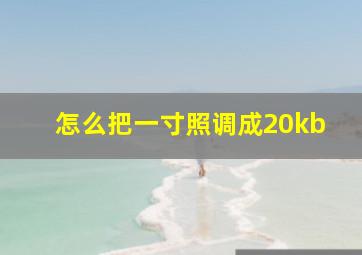 怎么把一寸照调成20kb