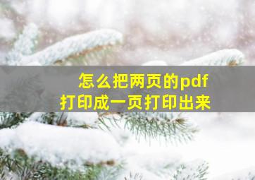 怎么把两页的pdf打印成一页打印出来