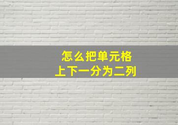 怎么把单元格上下一分为二列