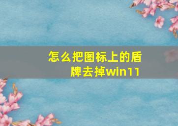 怎么把图标上的盾牌去掉win11