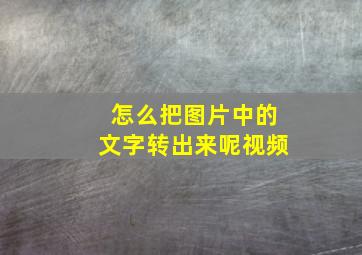 怎么把图片中的文字转出来呢视频