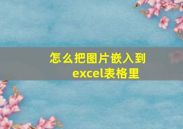 怎么把图片嵌入到excel表格里