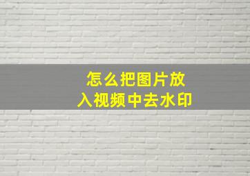 怎么把图片放入视频中去水印