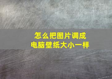 怎么把图片调成电脑壁纸大小一样