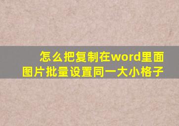 怎么把复制在word里面图片批量设置同一大小格子