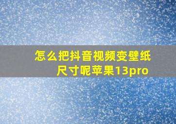 怎么把抖音视频变壁纸尺寸呢苹果13pro