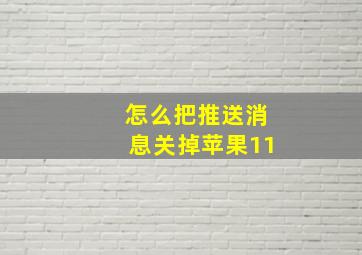 怎么把推送消息关掉苹果11