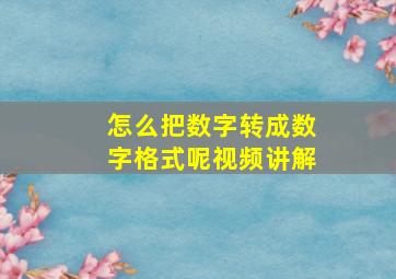 怎么把数字转成数字格式呢视频讲解