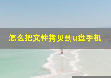 怎么把文件拷贝到u盘手机