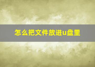 怎么把文件放进u盘里