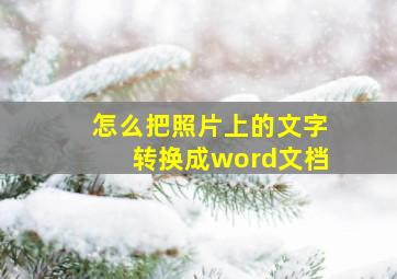 怎么把照片上的文字转换成word文档