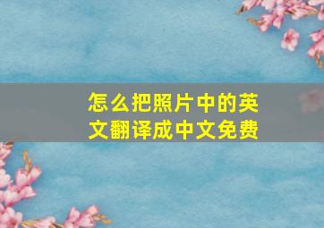 怎么把照片中的英文翻译成中文免费