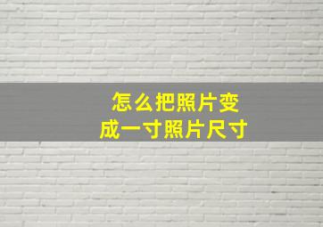 怎么把照片变成一寸照片尺寸