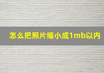 怎么把照片缩小成1mb以内