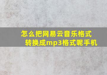 怎么把网易云音乐格式转换成mp3格式呢手机